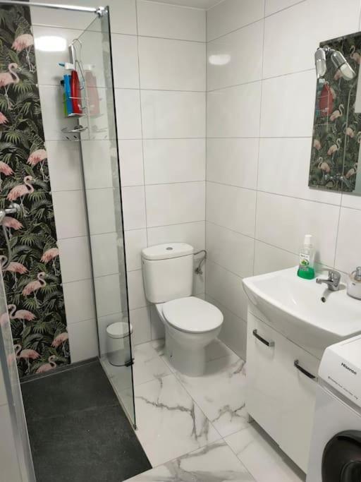 Apartament Flamingo Z Basenem Торевиеха Екстериор снимка